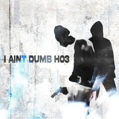 i aint dumb ho3