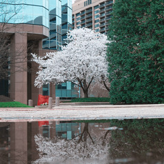 Collision with a fallen angel