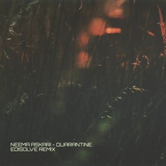 Neema Askari - Quarantine (Edisolve Remix)