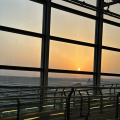 This Quiet Violence-David Chappell