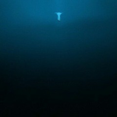 다금바리 (prod by.  Cxdy)