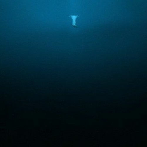 다금바리 (prod by.  Cxdy)