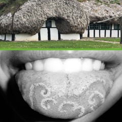 Metallica Swift 281118