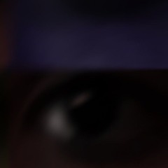 TOO MANY PIECES [p.seye]