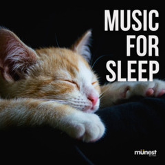 MUSIC FOR SLEEP :: solo piano • ambient ::