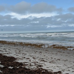 Look At Us (ft. El Rafa)(prod. Kid Ocean)