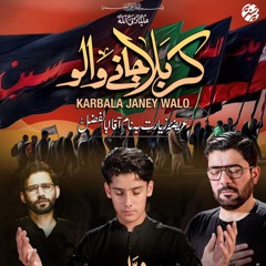 Karbala_Janay_Walon___Mir_Jawad_Mir___Mir_Hasan_Mir_Nohay_2024___Muharram_2024_1446(128k).mp3