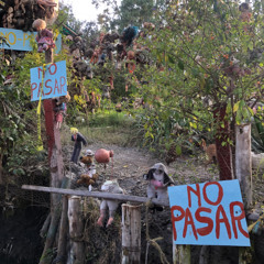 Husky Raid