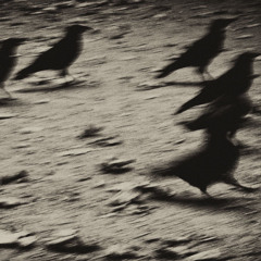 03 - 3