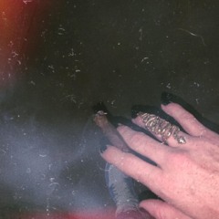 Backwood