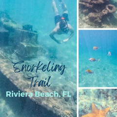 Best Blue Heron Bridge Snorkel Trail Prices Reviews