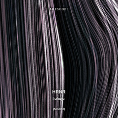 PREMIERE: HRNR - Iuhuju (Hogeko Remix) [Artscope]