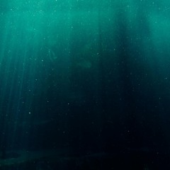 Undersea By Rachel Carson, Prose 2