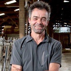 Intensifier sa production fourragère pâturable (Frédéric Berthet, Loire)