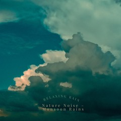ASMR Calming Morning Rain