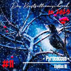 2023 #11: Pyrococcus - Xiphias III