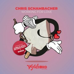 Chris Schambacher - Working for Love (Original Mix)
