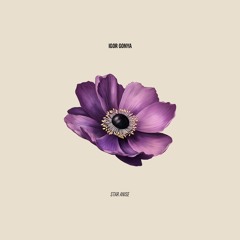 PREMIERE: Igor Gonya - Star Anise [Magpie]