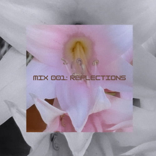 VIANNA - MIX 001: Reflections (Jersey Club Mix)