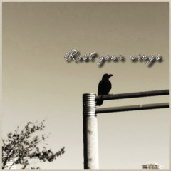 Rest your wings