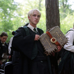 did someone say draco malfoy? (tiktok audio)