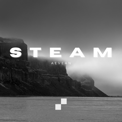 Steam