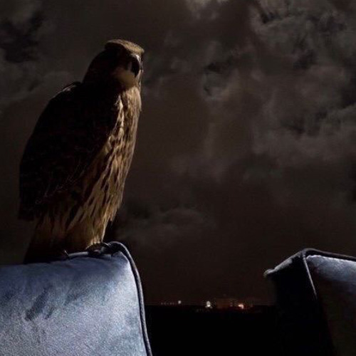 سلطان البريكي || على الموعد