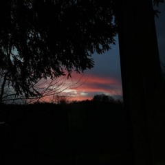 alsoblaww Credibility