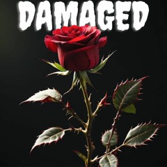 Damaged (acoustic version)