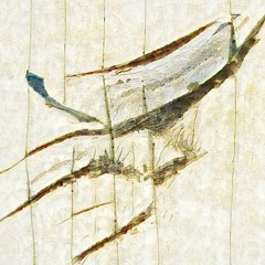 Boson Spin - Possionsky