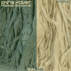 Faunus Aonghus - Chris Hover (Original)