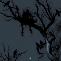 Hear the Crows Cry
