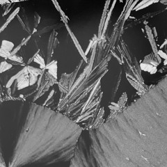 HUS - 샐러드 기념일 cover