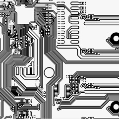 Tribal Fruits  [Upcoming vinyl release]