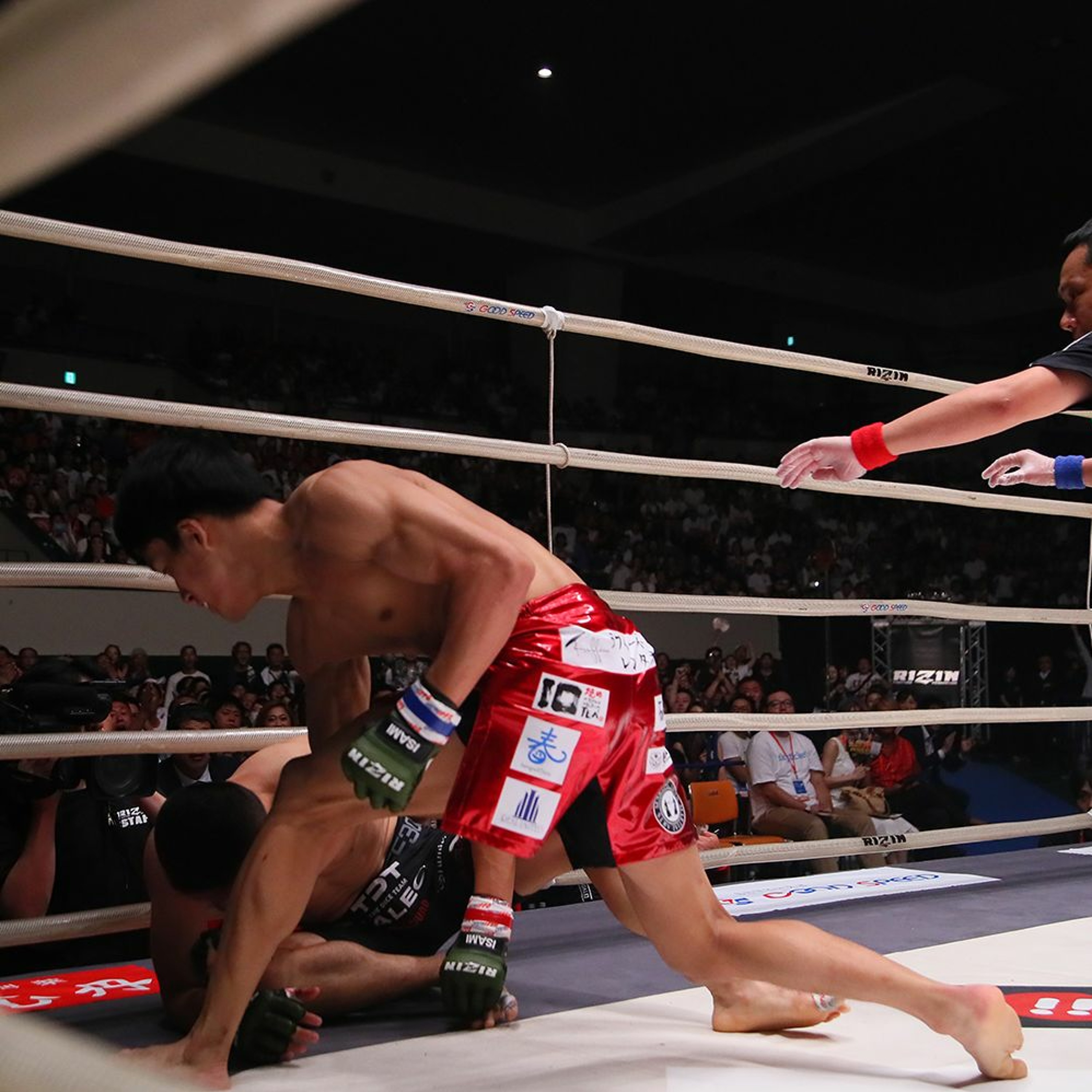 We are Rizin