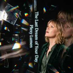 The Last Dream of Your Day