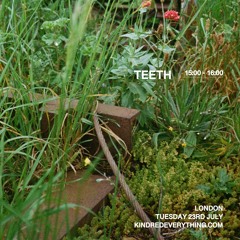 TEETH 23.7.24