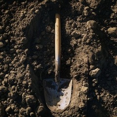 Find From The Landfill Clarified - Everything Is Different
