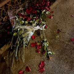 Classy Bitch ( Special Version )