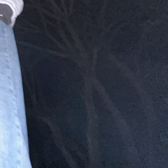 Chainsaw Squid/Kamp Krusty Split