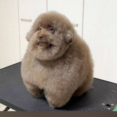 A mix for summer 2025