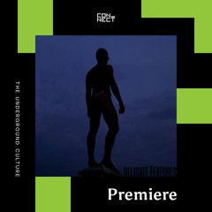 PREMIERE: Delicate Features - Economic Outlook [Freeride Millenium]