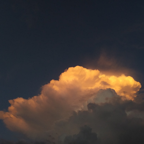 Deep Breakfast 332 ~ Neglect