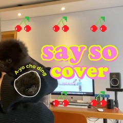 Say so -Doja cat(Cover by SURAN) acoustic ver.