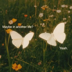 anaheim - niki [cover]