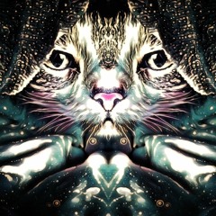 Exploring Perception, Ego, and Spiritual Awareness