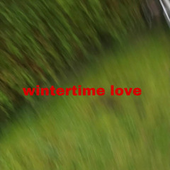 Wintertime Love (demo)