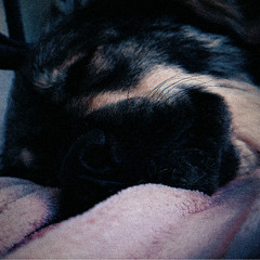 COLDFACE - BROKEN SOUL