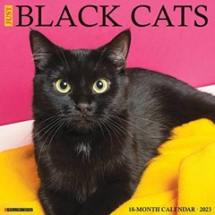 ( dABYF ) Just Black Cats 2023 Wall Calendar by  Willow Creek Press ( pHu )