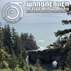 Active Mindz Radio Aug 29th 2025 with Warbreaker on jungletrain.net